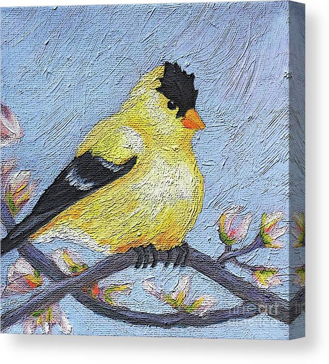 Bird Canvas Print featuring the painting 24 Goldfinch by Victoria Page