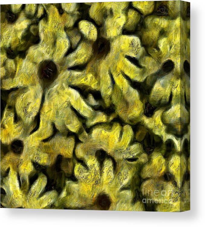 Abstract Canvas Print featuring the digital art Flowers #3 by Bruce Rolff
