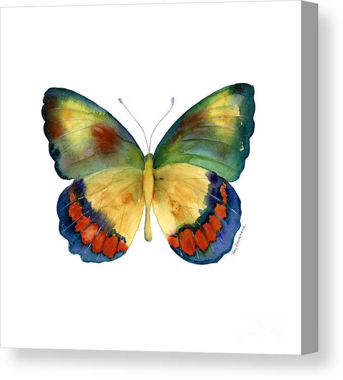 Bagoe Butterfly Canvas Print featuring the painting 67 Bagoe Butterfly by Amy Kirkpatrick