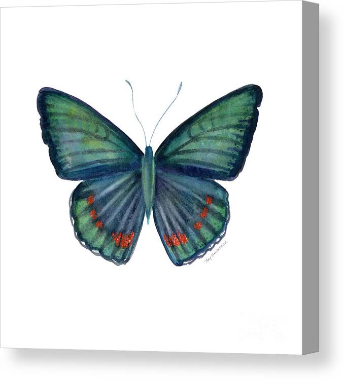 Teal Green Butterfly Canvas Print featuring the painting 82 Bellona Butterfly by Amy Kirkpatrick