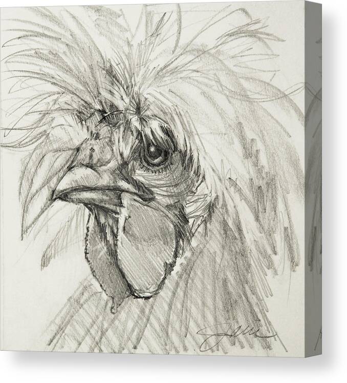 Chicken Canvas Print featuring the drawing A Haute Chick Named Louise by Jani Freimann