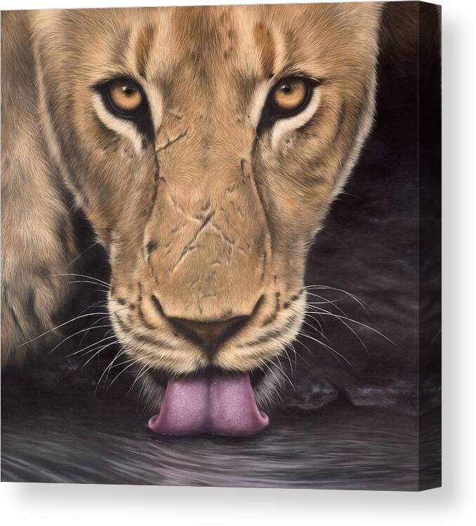 Lion Canvas Print featuring the painting African Lioness Face by Rachel Stribbling