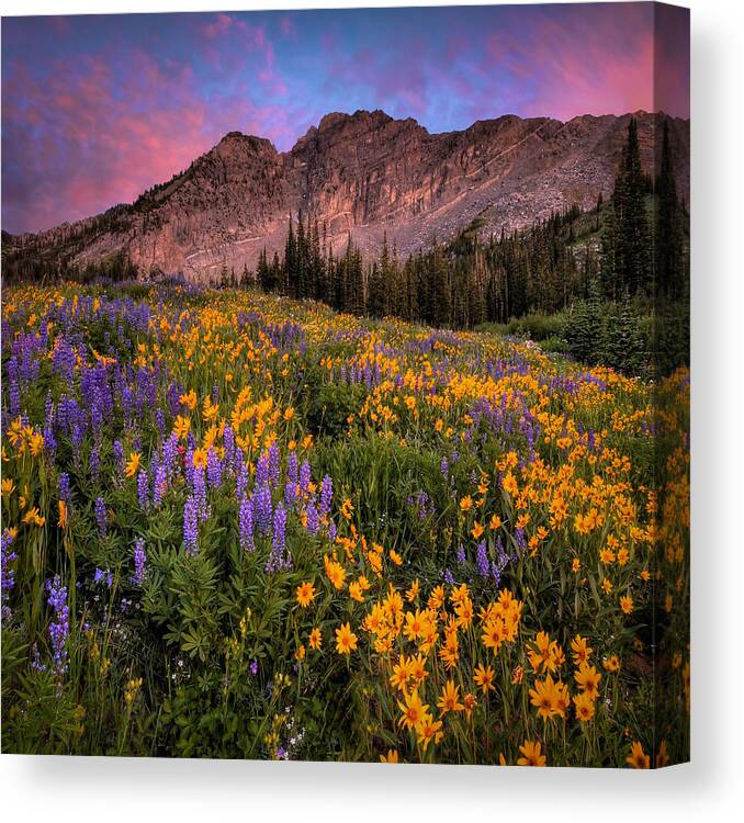 Canvas Print featuring the photograph Albion Wild Squared by Ryan Smith