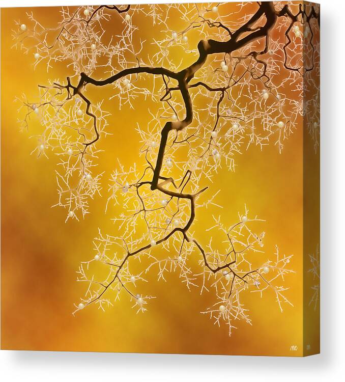 Abstract Nature Canvas Print featuring the digital art Amber by Moira Risen