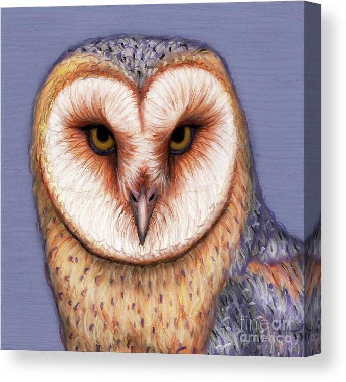 Barn Owl Canvas Print featuring the painting American Barn Owl by Amy E Fraser