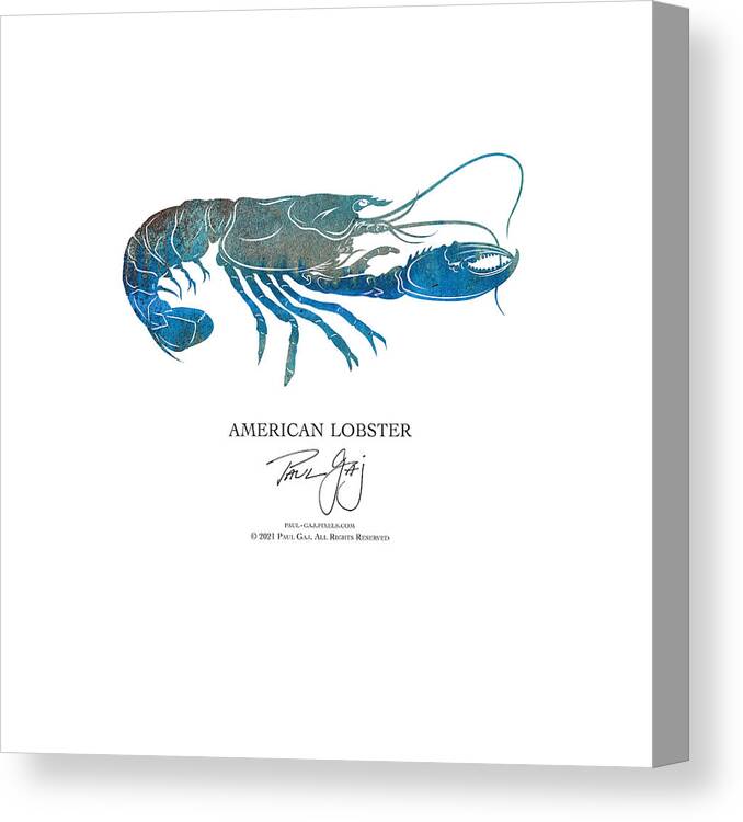  Canvas Print featuring the mixed media American Lobster by Paul Gaj