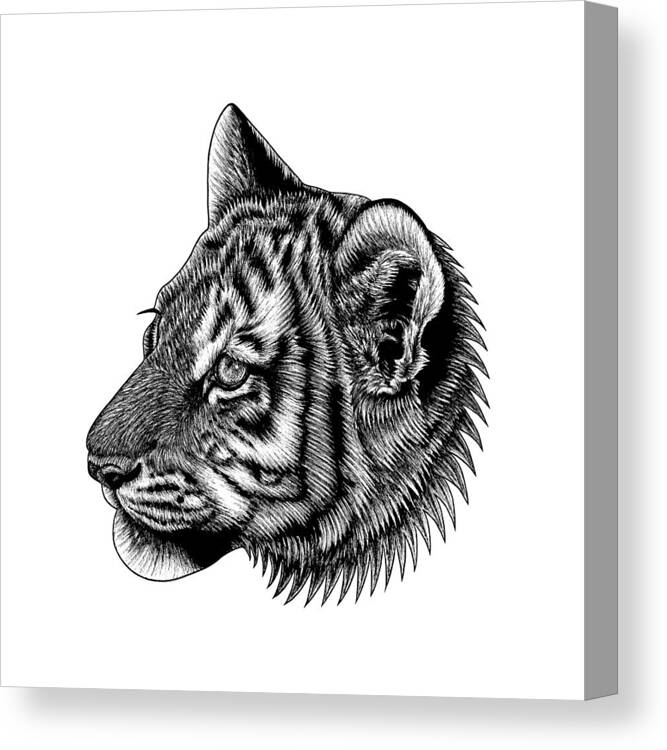 Tiger Canvas Print featuring the drawing Amur tiger cub by Loren Dowding
