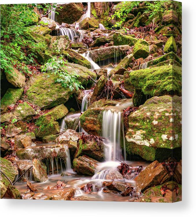 Arkansas Waterfalls Canvas Print featuring the photograph Arkansas' Devils Den State Park Waterscape 1x1 by Gregory Ballos