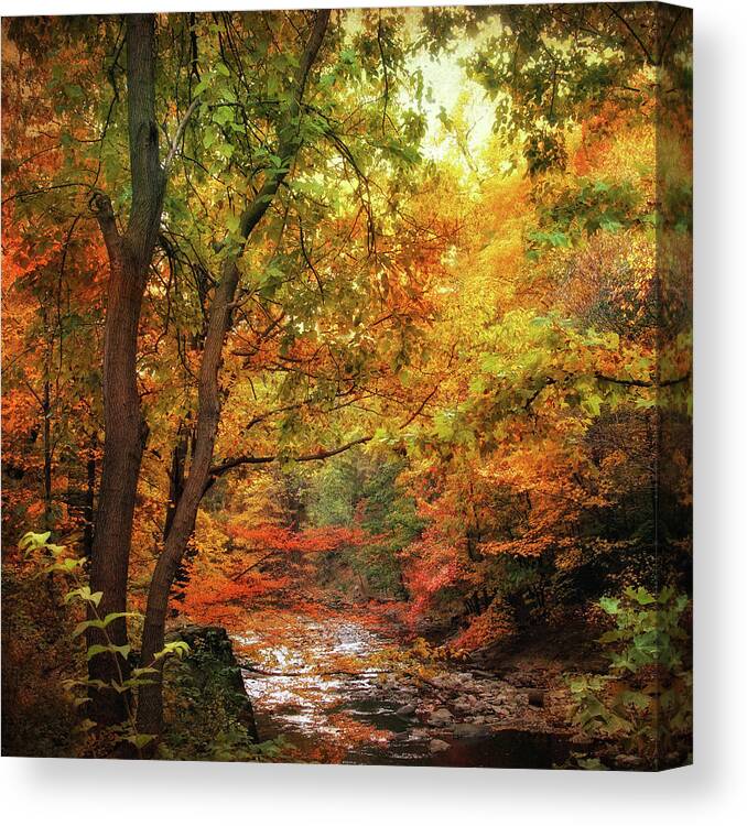 Nature Canvas Print featuring the photograph Autumn Stream II by Jessica Jenney