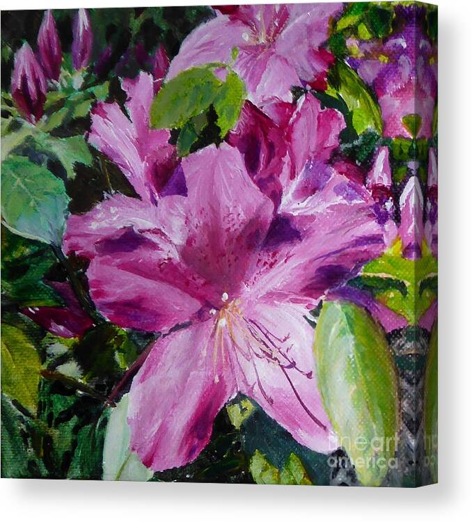 Flower Canvas Print featuring the painting Azaleas by Merana Cadorette