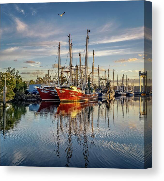 Bayou Canvas Print featuring the photograph Bayou Morning 2, 12/23/20 by Brad Boland