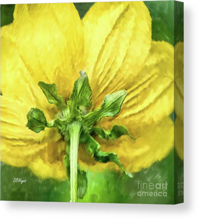 Flowers Canvas Print featuring the mixed media Beauty Of The Rear by DB Hayes