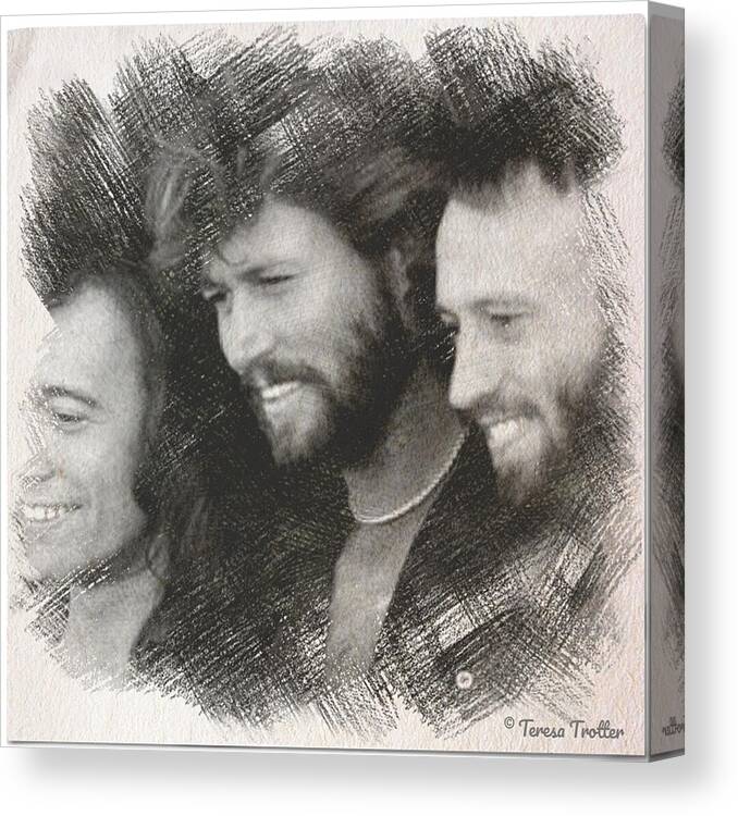 Bee Gees Canvas Print featuring the drawing Bee Gees Sketch by Teresa Trotter