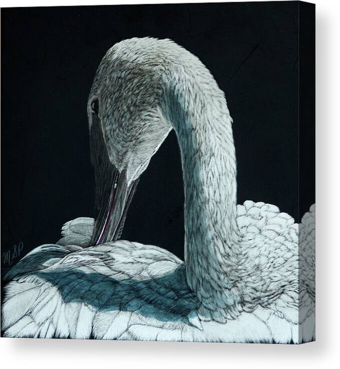 Trumpeter Swan Canvas Print featuring the painting Bellissimo by Margaret Sarah Pardy
