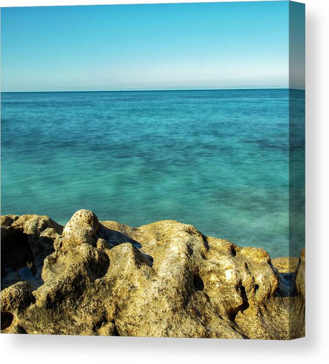 Blue Canvas Print featuring the photograph Big blue by Mike Santis