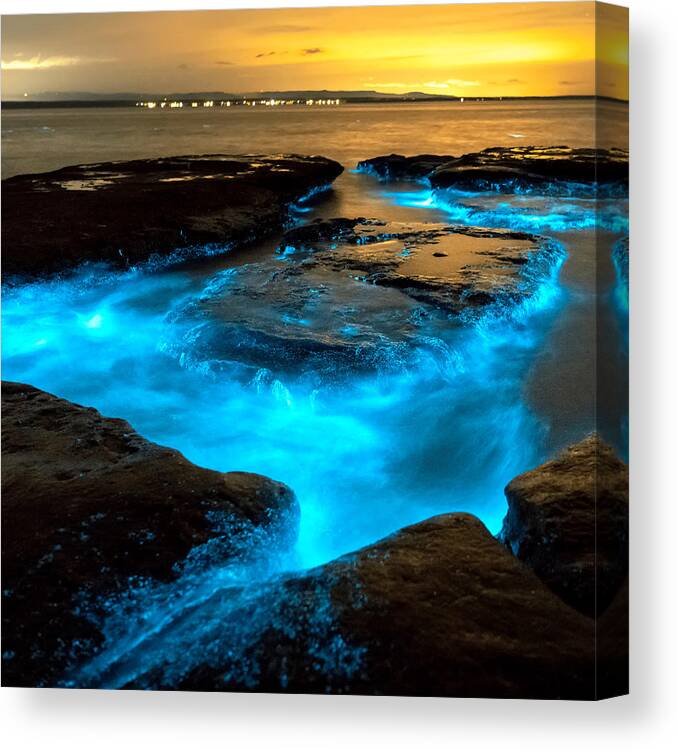 Sea Canvas Print featuring the photograph Bioluminescence At Sunset by World Art Collective