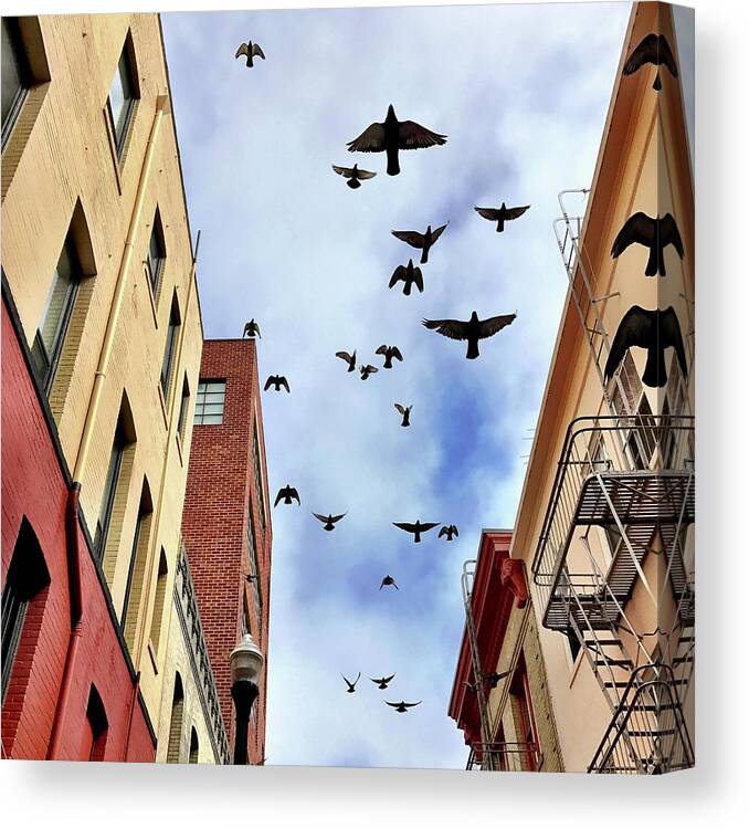  Canvas Print featuring the photograph Birds Above by Julie Gebhardt