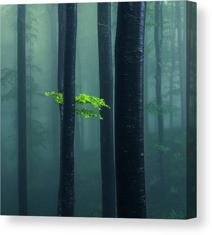 Mountain Canvas Print featuring the photograph Bit Of Green by Evgeni Dinev