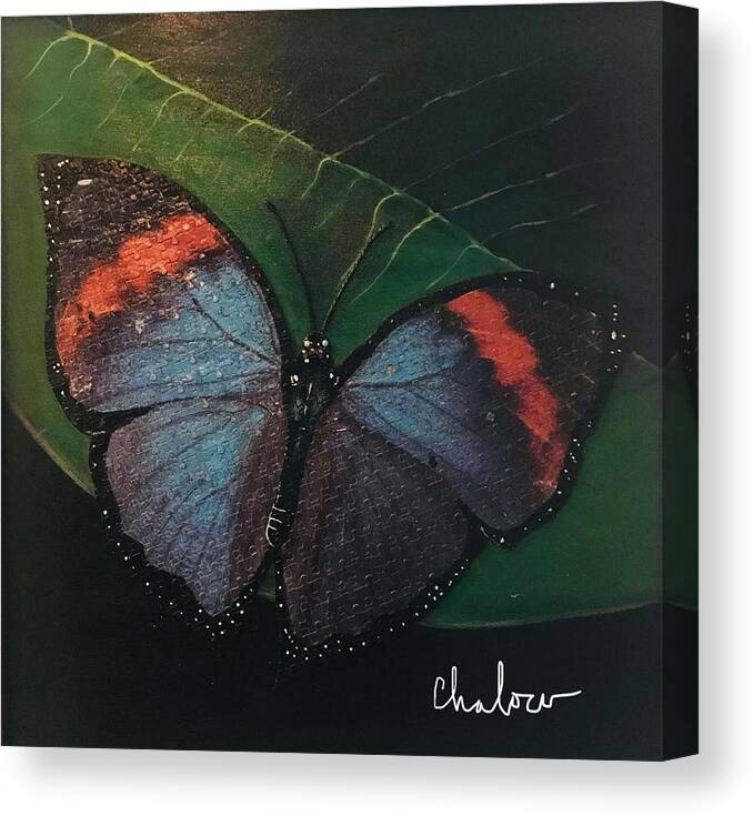 Butterfly Canvas Print featuring the painting Blessed Butterfly by Charles Young