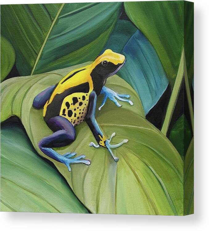 Blue And Yellow Dart Frog Canvas Print featuring the painting Blue and Yellow Dart by Connie Rish