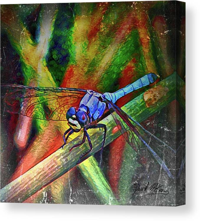 Colorful Canvas Print featuring the digital art Blue Dragonfly by David McKinney