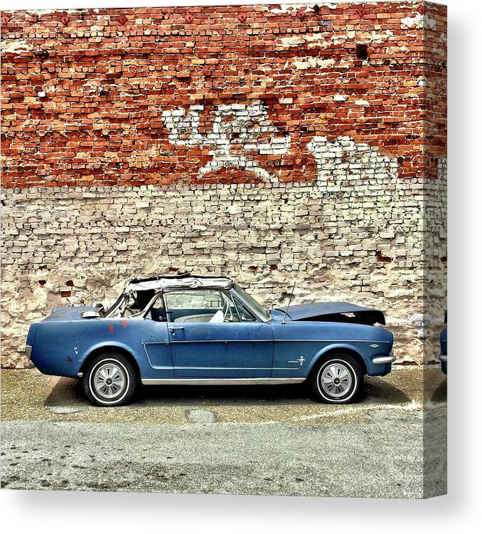  Canvas Print featuring the photograph Blue Mustang by Julie Gebhardt