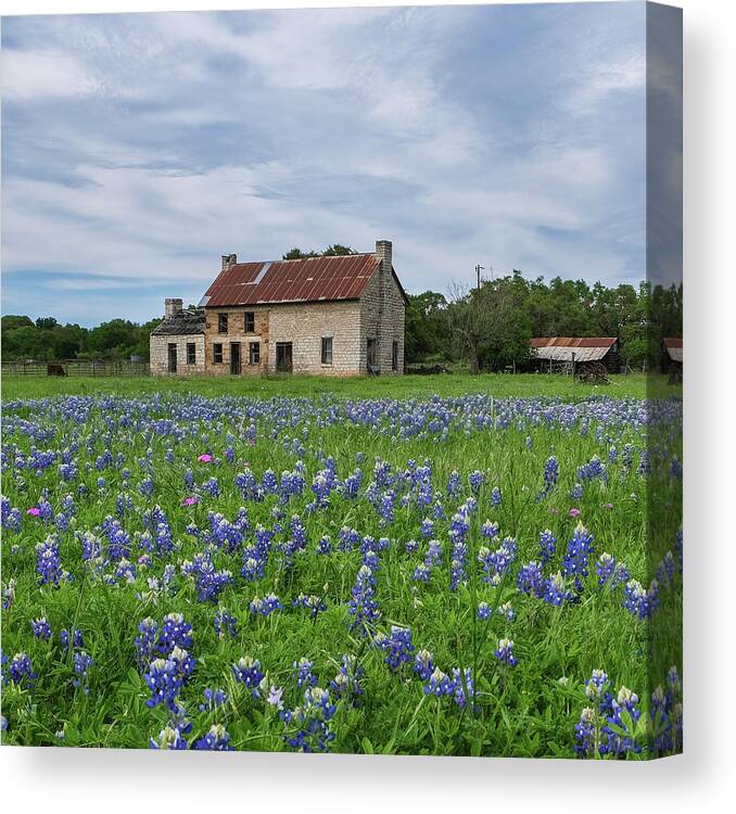 Bluebonnets Canvas Print featuring the photograph Bluebonnet House Marble Falls Texas by Robert Bellomy