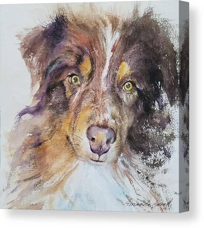 Australian Shepherd Canvas Print featuring the painting Boots by Amanda Amend