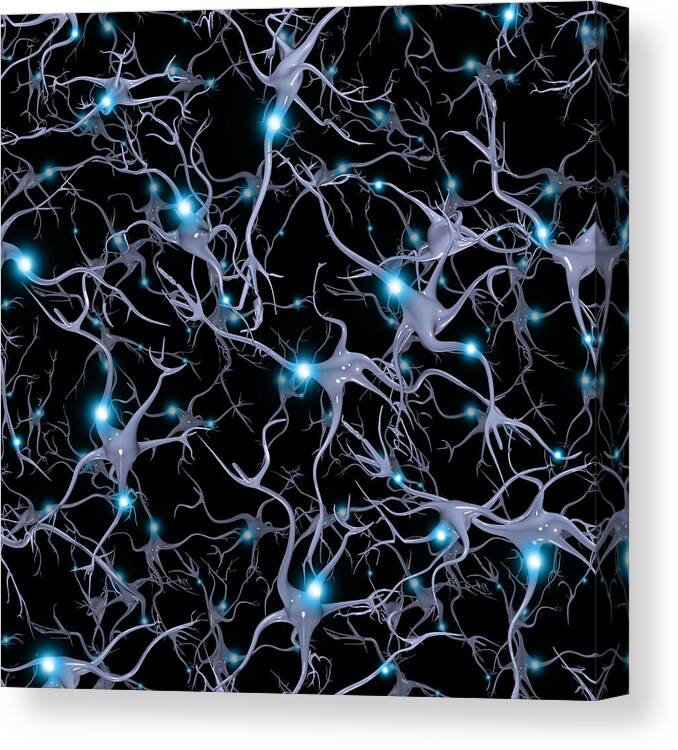 Internet Canvas Print featuring the photograph Brain Cells Pattern by Bestdesigns