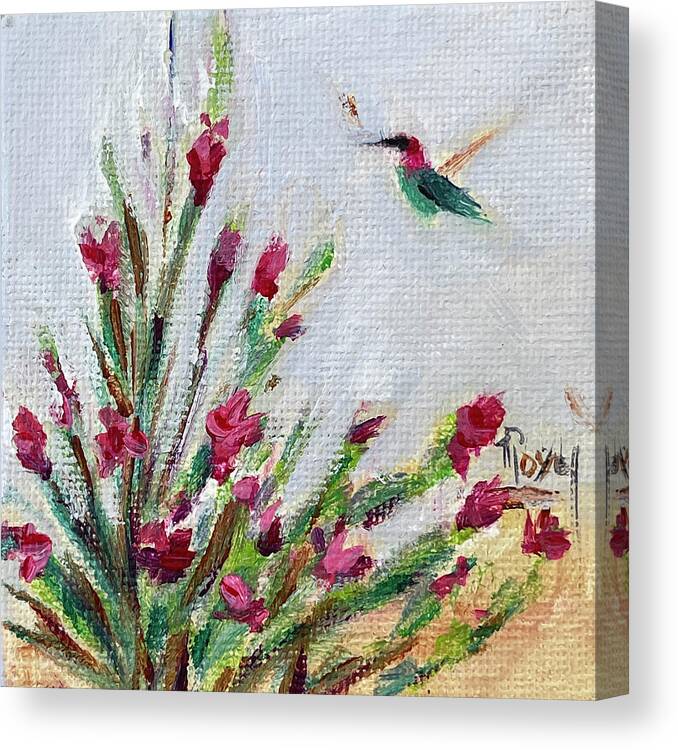 Hummingbird Canvas Print featuring the painting Brendas Hummingbird at Lorenzi Estate Wines by Roxy Rich