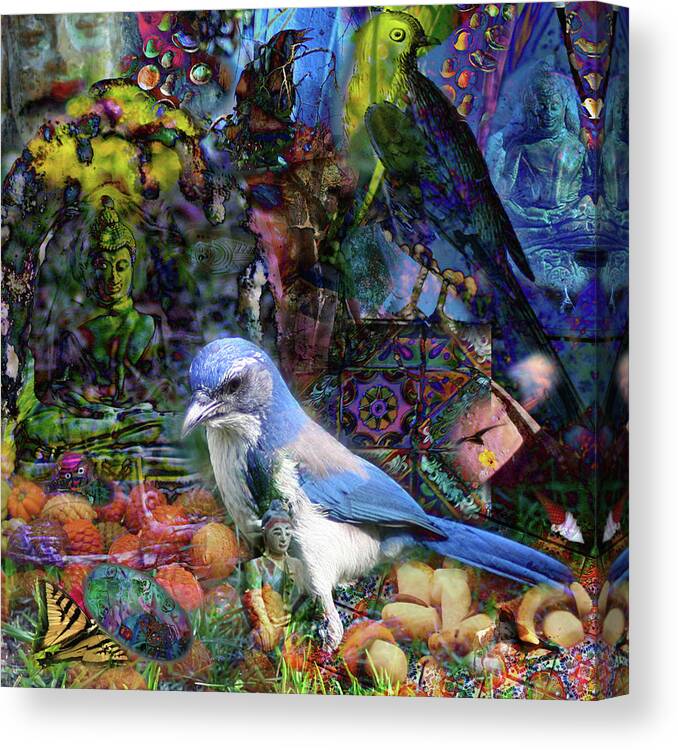 Scrub Jay Canvas Print featuring the photograph Buddahs And Birds by Perry Hoffman