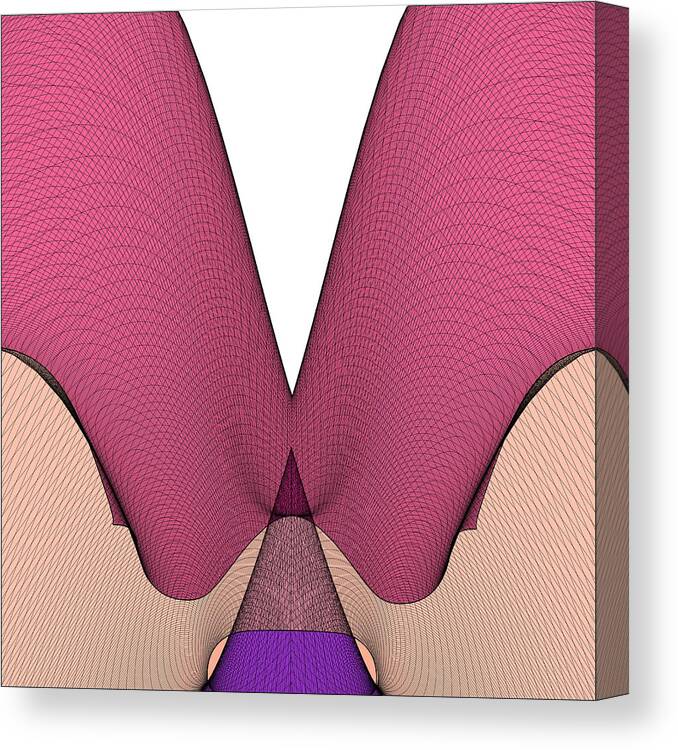 678px x 750px - Butt Anal Plug Sex Toys In Ass Canvas Print / Canvas Art by Nenad Cerovic -  Pixels