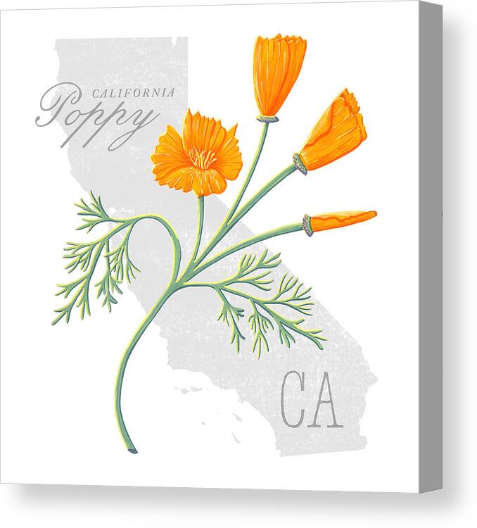 California Canvas Print featuring the painting California State Flower Poppy Art by Jen Montgomery by Jen Montgomery