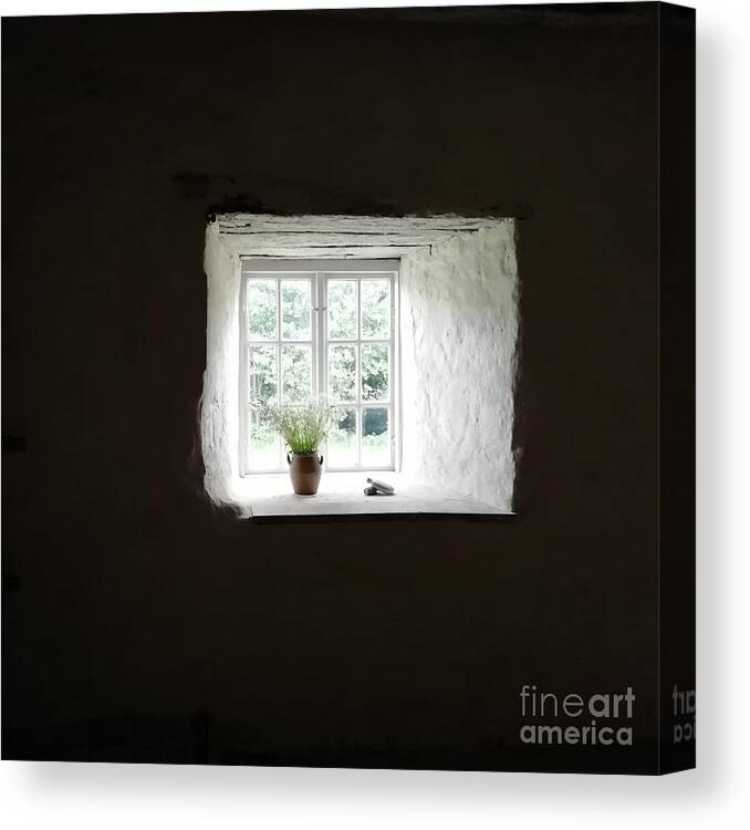 Castle Canvas Print featuring the photograph Castle View by Alexandra Vusir