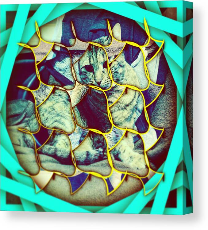 Abstract Canvas Print featuring the digital art Cat 2 by Marko Sabotin