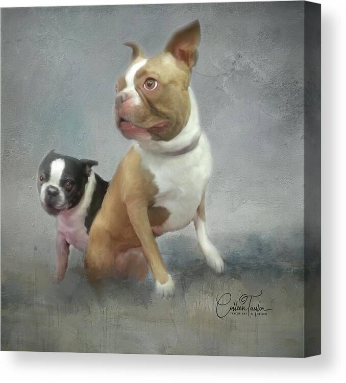 Boston Terrier's Canvas Print featuring the mixed media Cheech and Chong by Colleen Taylor