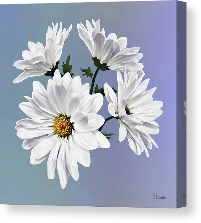 Daisy Canvas Print featuring the photograph Circle of White Daisies by Susan Savad