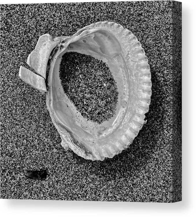 Black And White Canvas Print featuring the photograph Clam Shell - Sandy Beach bw by Jerry Abbott