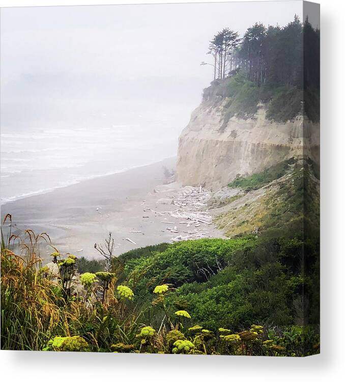 Sea Canvas Print featuring the photograph Cliffs near Taholah, Washington by Grey Coopre