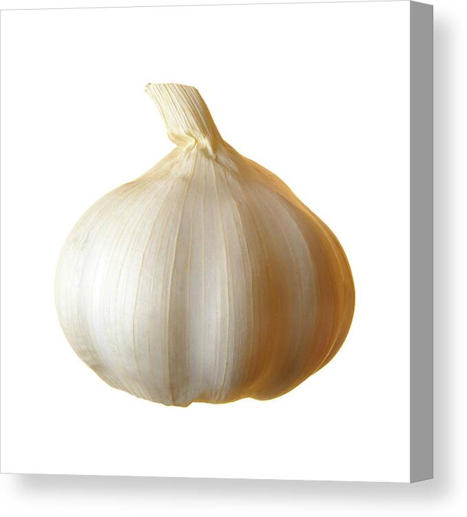 Allium Sativum Canvas Print featuring the photograph Clove Of Garlic by Jim Hughes