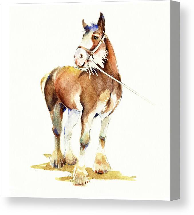 Clydesdale Canvas Print featuring the painting 'Clydesdale' by Penny Taylor-Beardow