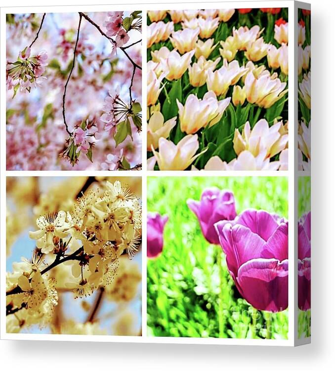 Flower Canvas Print featuring the photograph Collage Flowers by Yvonne Padmos