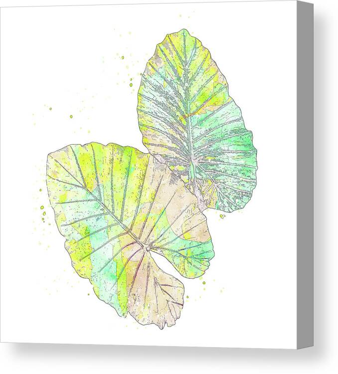 Palm Tree Frond Canvas Print featuring the mixed media Colorful Abstract Palm Leaf by Pamela Williams