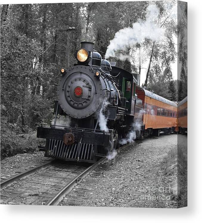 Mt. Rainier Scenic Railroad Canvas Print featuring the photograph Comin' Round The Bend by Ron Long