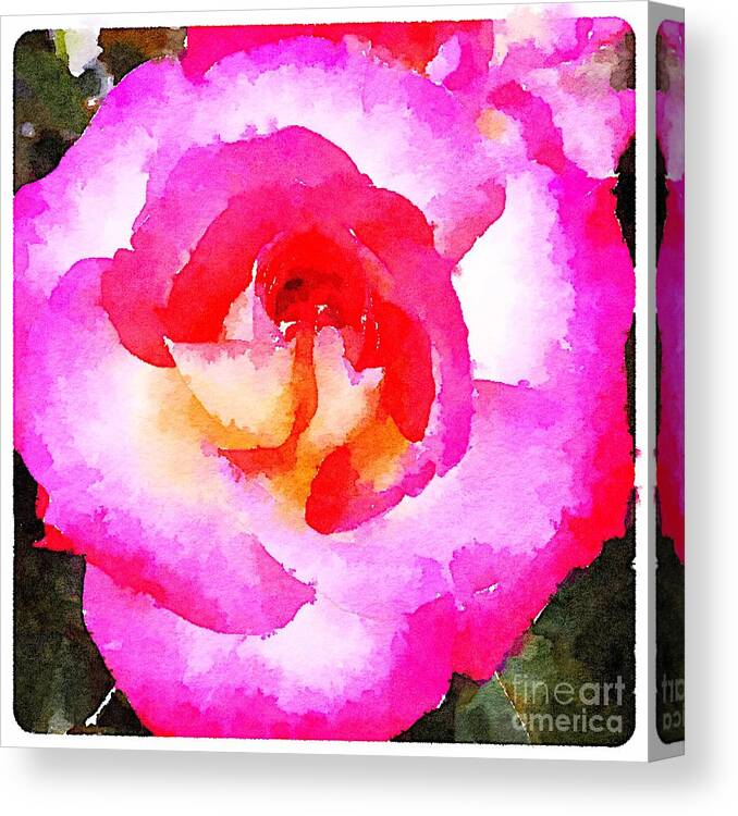 Rose Canvas Print featuring the digital art Crazy Rose by Wendy Golden