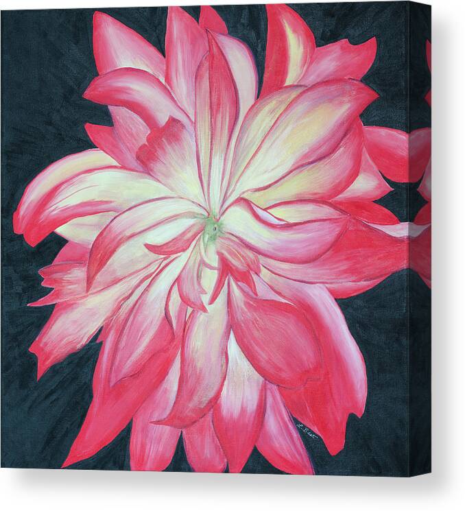 Dahlia Canvas Print featuring the painting Dahlia Explosion by Laurel Best
