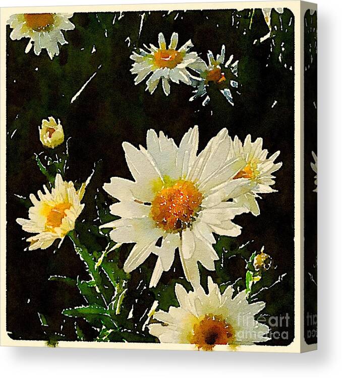 Daisies Canvas Print featuring the digital art Daisies in the Dark by Wendy Golden