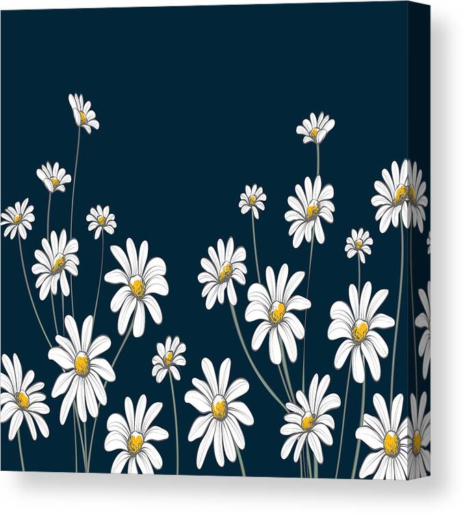 Background Canvas Print featuring the painting Daisies Watercolor Print, Watercolor Daisies Print Set, Watercolor Daisy Painting, Daisies Artwork by Mounir Khalfouf