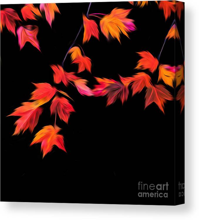 Autumn Leaves Abstract Canvas Print featuring the photograph Dancing Autumn Leaves Abstract 2 by Anita Pollak