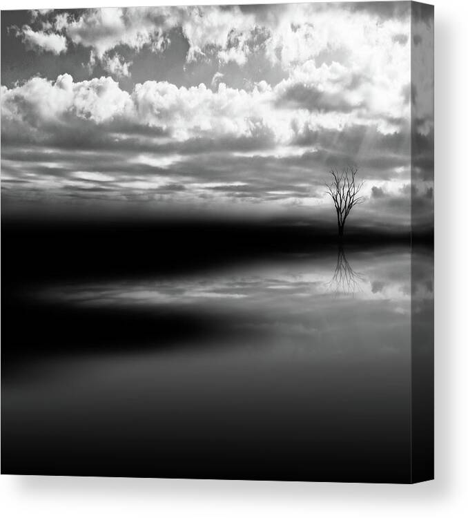 Black And White Canvas Print featuring the photograph Dark And Light by Carmen Kern